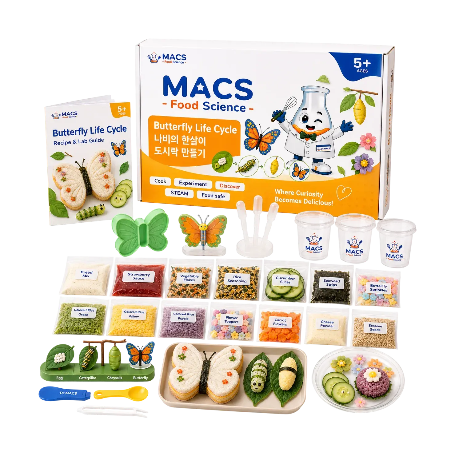 A MACS Butterfly Life Cycle science mission with its guide, model pieces, ingredients, tools, and finished edible model.