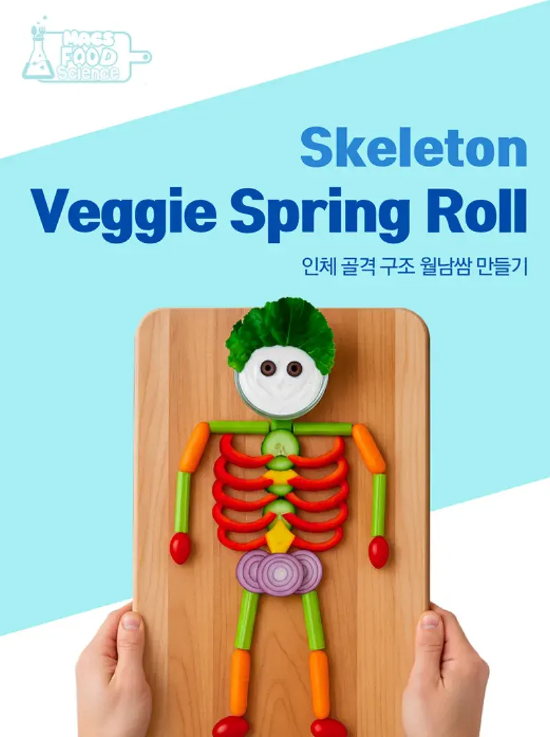 인체 골격 모양 월남쌈 만들기 표지