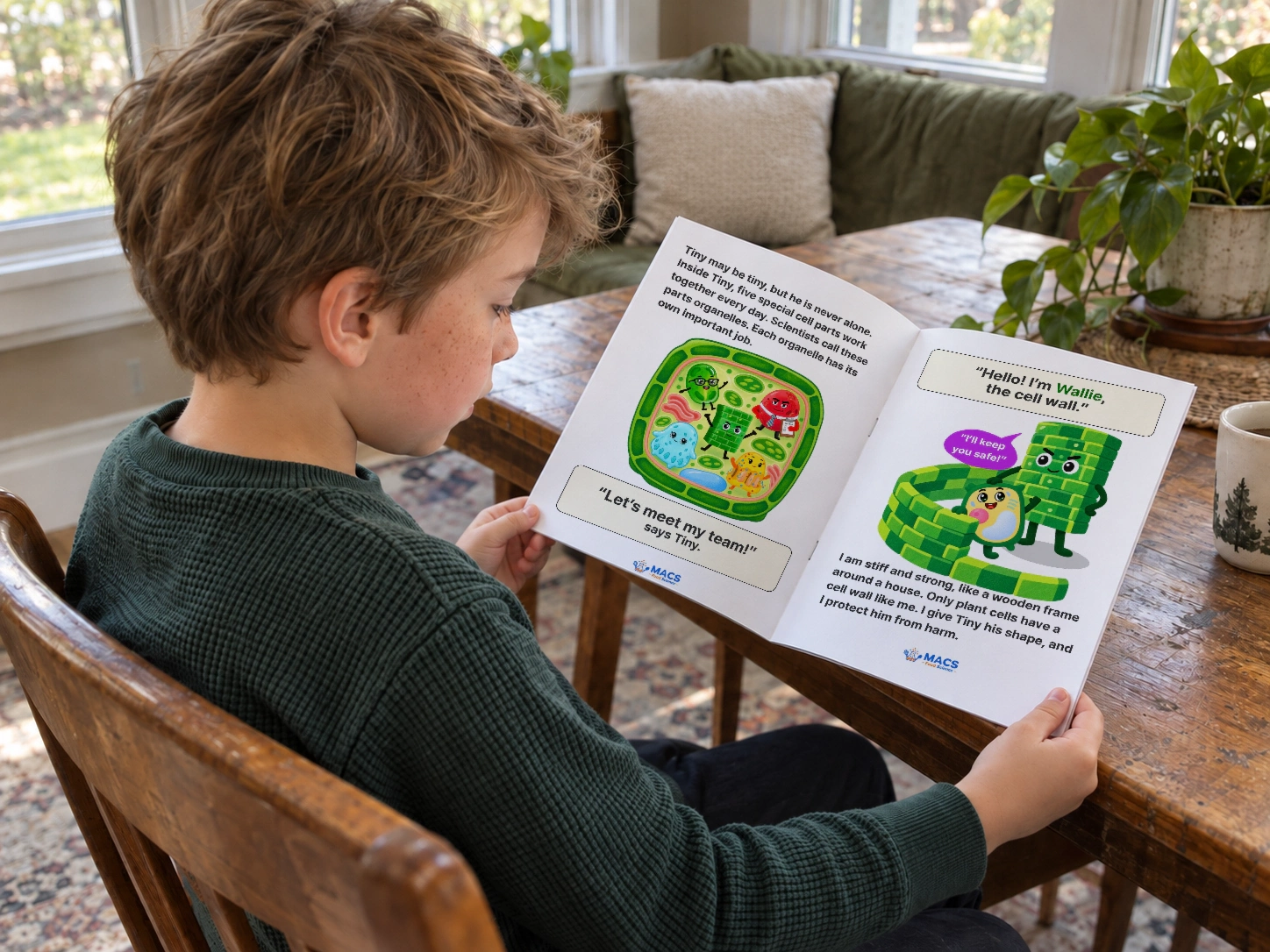 A child reads an illustrated plant-cell workbook at home.